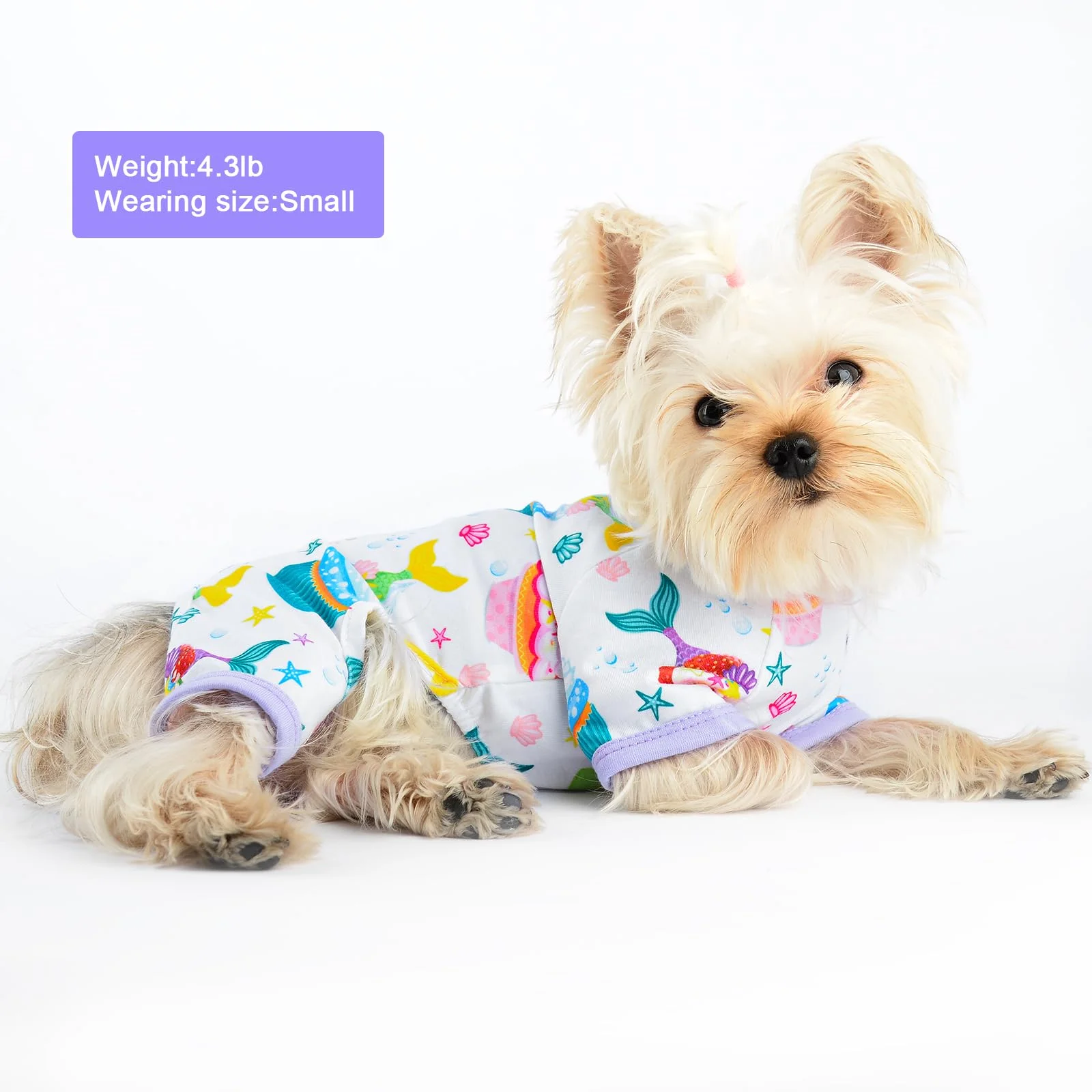 Pet Dog Pajamas Boy Girl Cute Dog Clothes Soft Stretch Chihuahua York Clothes One-piece Summer Puppy Pajamas XS-XXL (Mermaid)