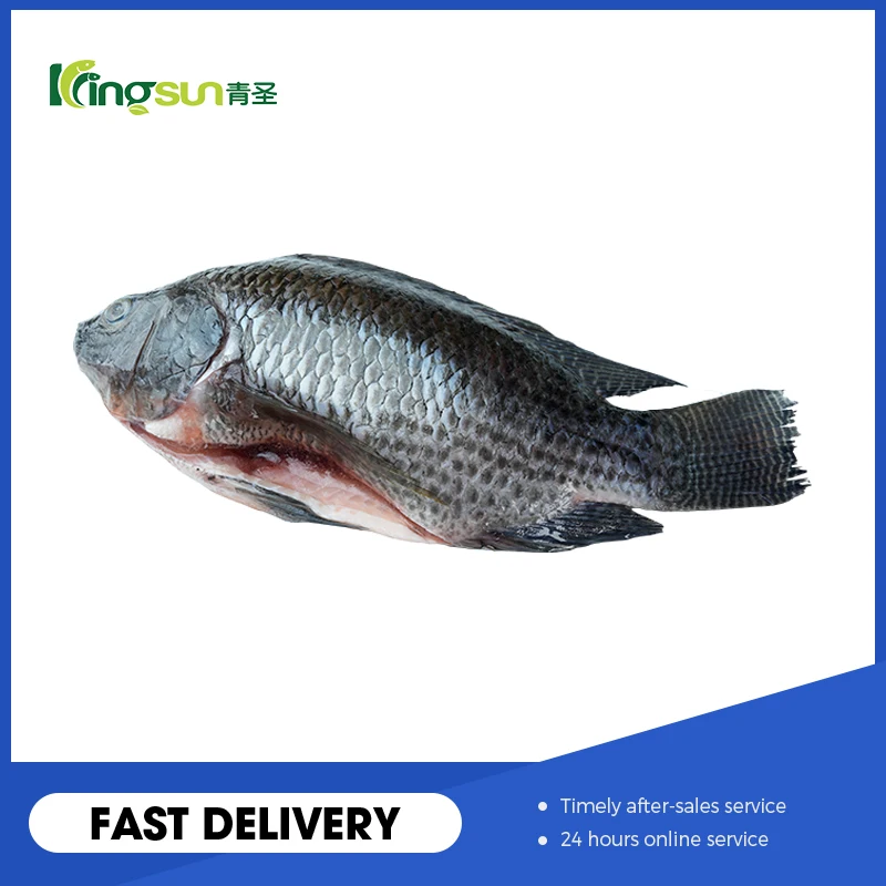High Quality Frozen Black Tilapia Fish Factory Export