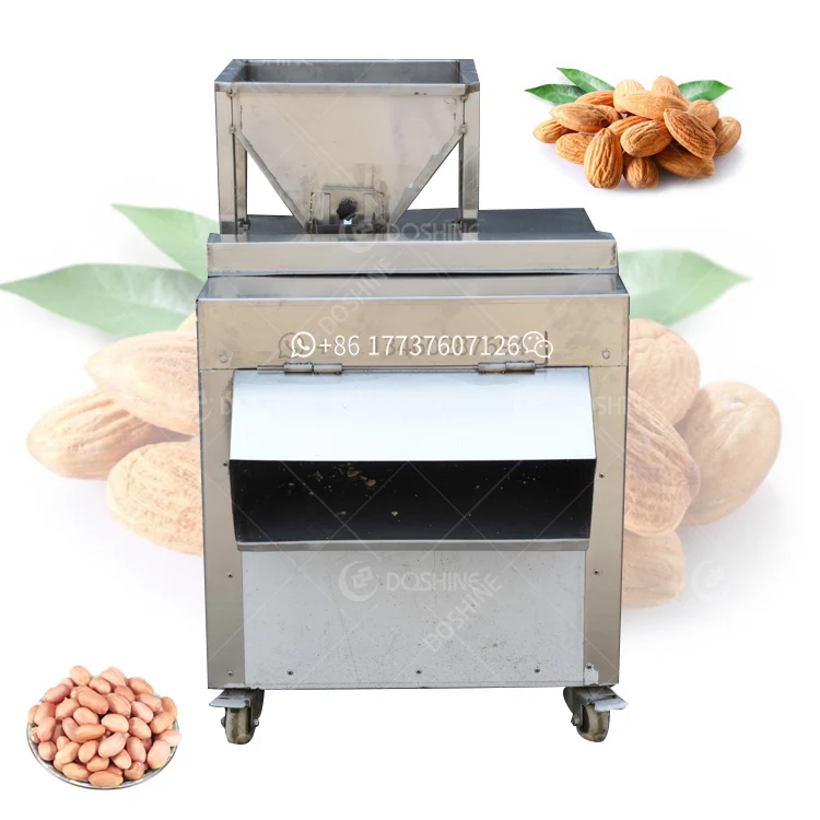 Electric cucumber melon nut cutter grain hickory nut peanut macadamia nut slicing cashew garlic cutting equipment
