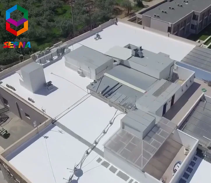 Silicone liquid Rubber polyurethane paint roof waterproof paint construction build bitumen Waterproofing Coating