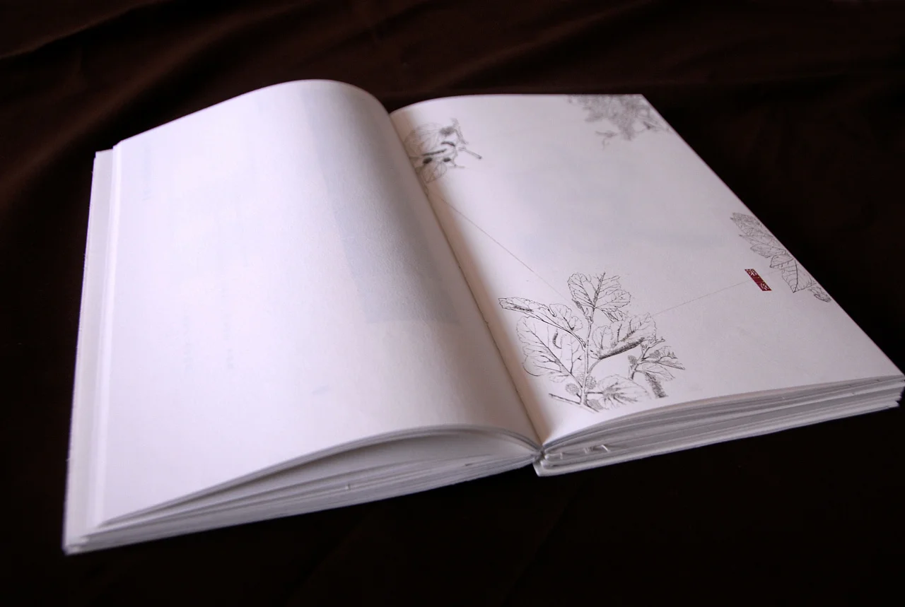 Virgin Wood Pulp Offset Paper Rolls Coated and Uncoated for Print and Chemical Industries SRA1/SRA2/B0/B1/B2 Sizes