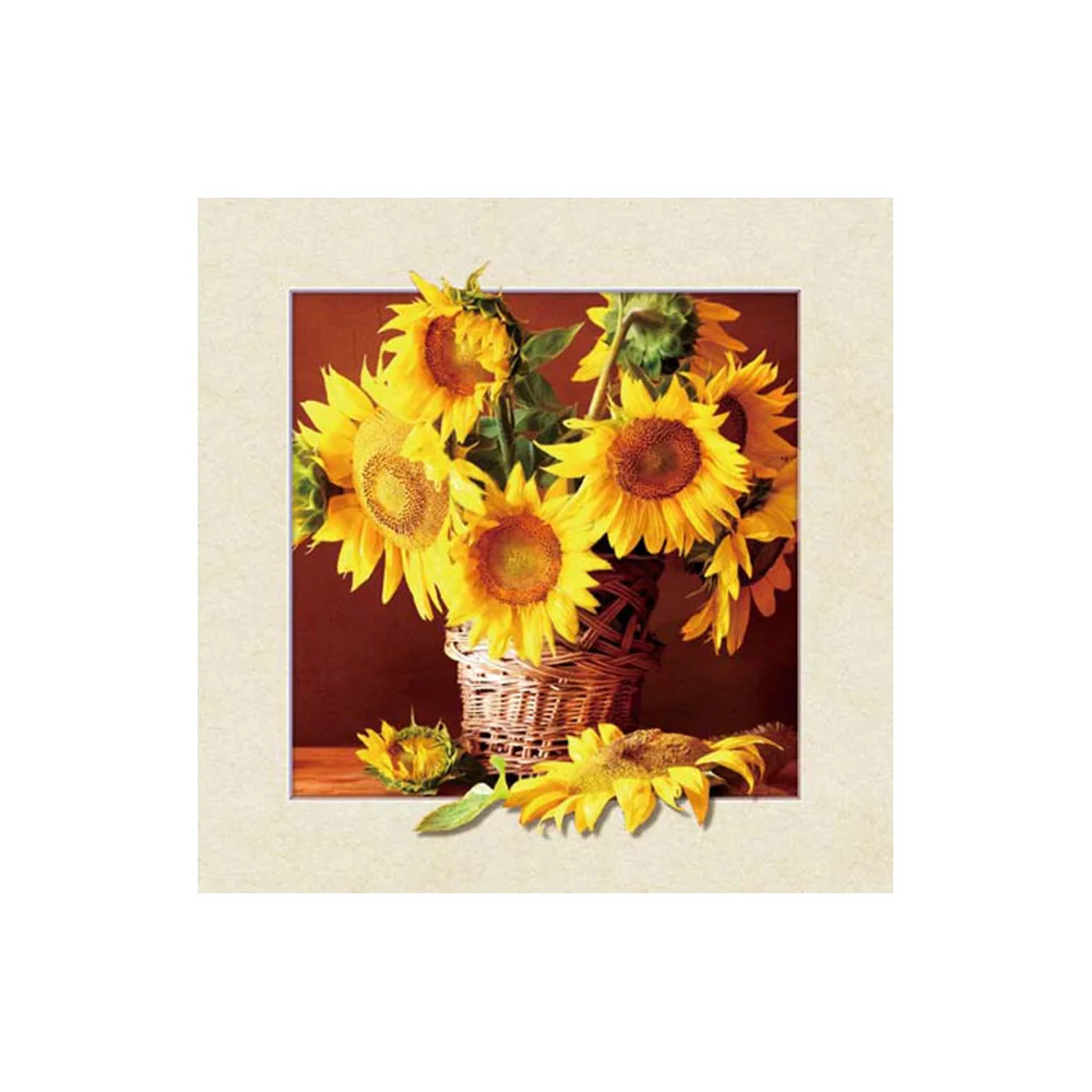 5D Lenticular Effect Picture frames