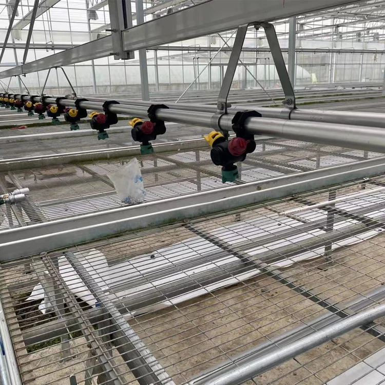 Low Cost Rolling Bench Growing Tables Commercial Plants Wire Mesh Greenhouse Bench