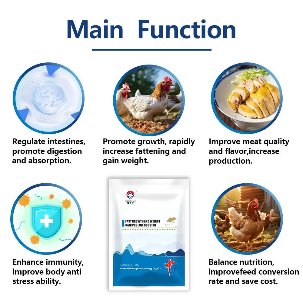 Animal vitamins probiotics supplements to gain weight growth booster for roosters broiler chickens birds poultry feed additives