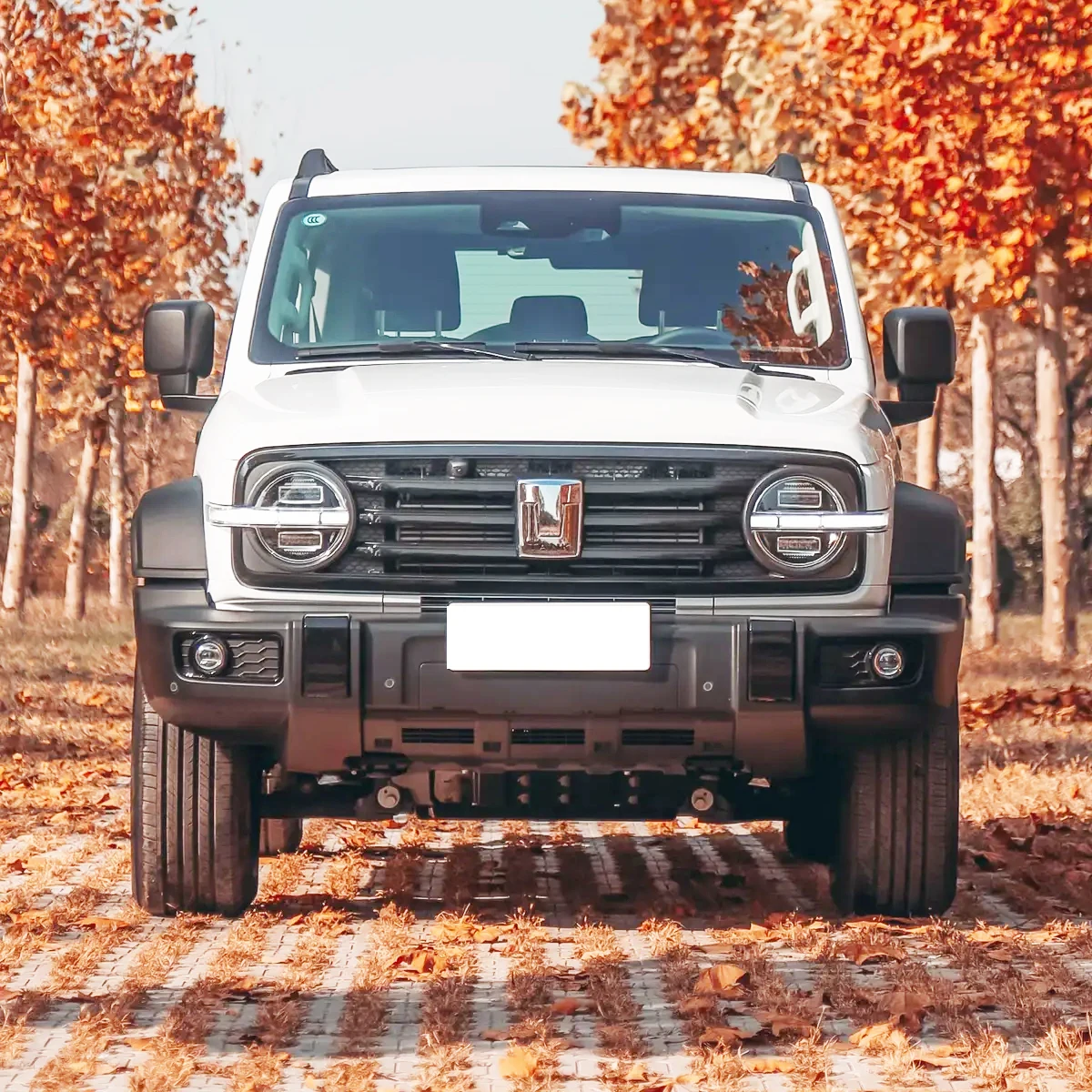 Cheap Price Great Wall High Speed 2.0t 2024 Gasoline Car GWM Tank 300 Body Kit