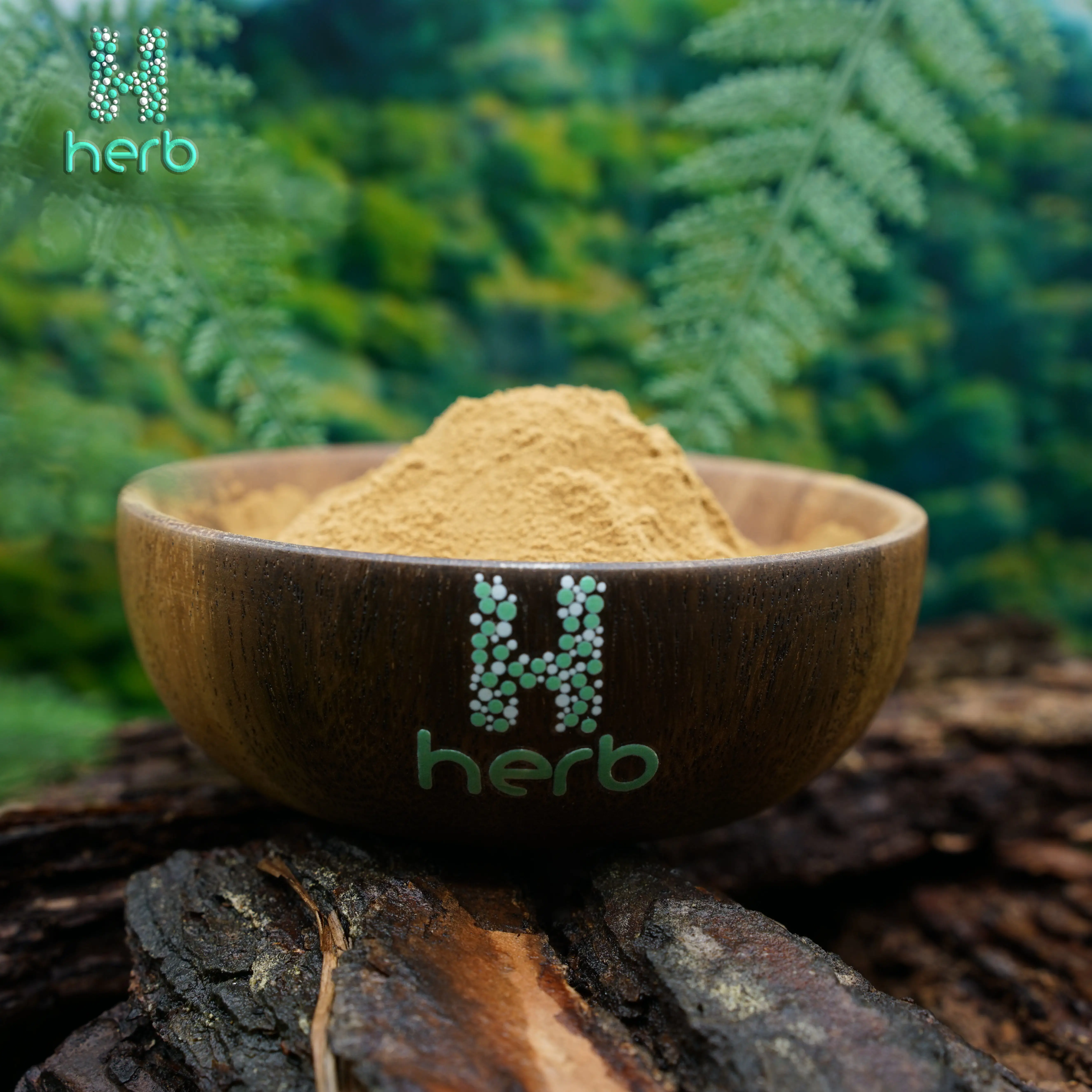 High quality icariin 50% 60% 80% 98% epimedium extract powder icariin