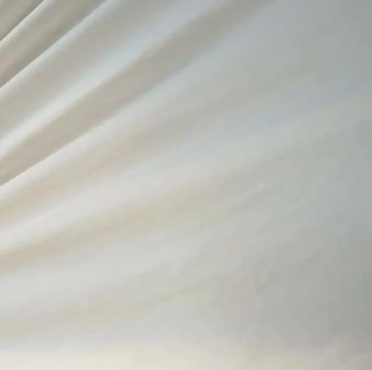 Fabric Supplier Stock Lot 310T 40D FD Nylon Fabric for outdoor sports and down jacket anti-UV Recycling Nylon Fabric