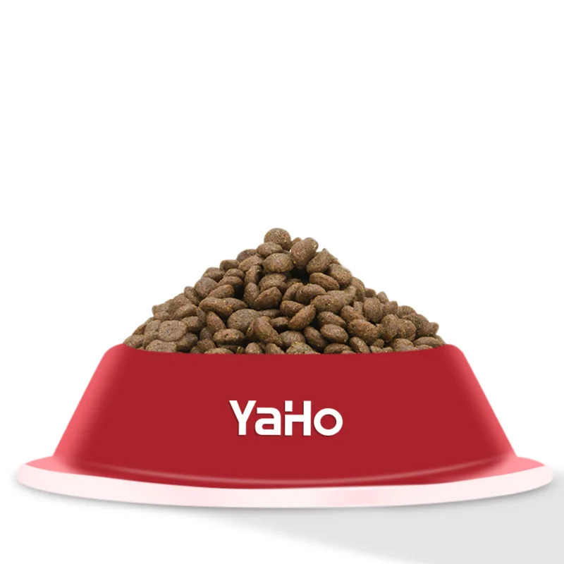 Natural Healthy Grain Free Pet Food Kitten Dry Cat Food 500g