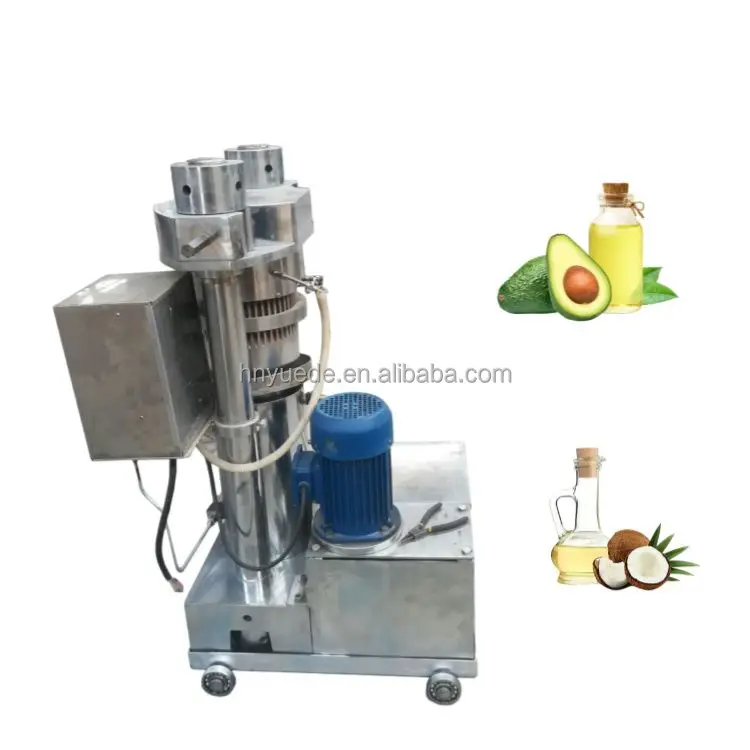 Moringa Soybean Cacao Oil Extractor Automatic Olive Canola Nut Oil Extraction Machine Small Cold Press Oil Machine