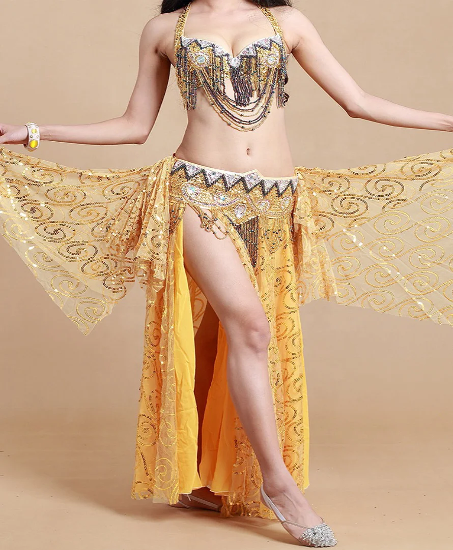 Belly Dance Costume Set for Women Professional Belly Dance Bra and Belt Belly Dancing Skirt Slit Carnival Outfit