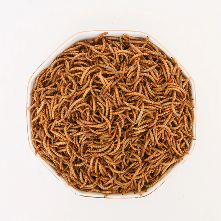 High Protein Larvae Dried Worm Dried Edible Insects Dried Mealworm