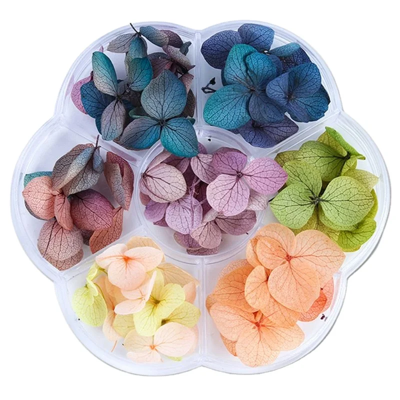 45-50pcs/box Dried Flowers DIY Epoxy Resin Mold Handmade Crafts Filling Materials Time Stone Jewelry Making Filler Desktop Decor