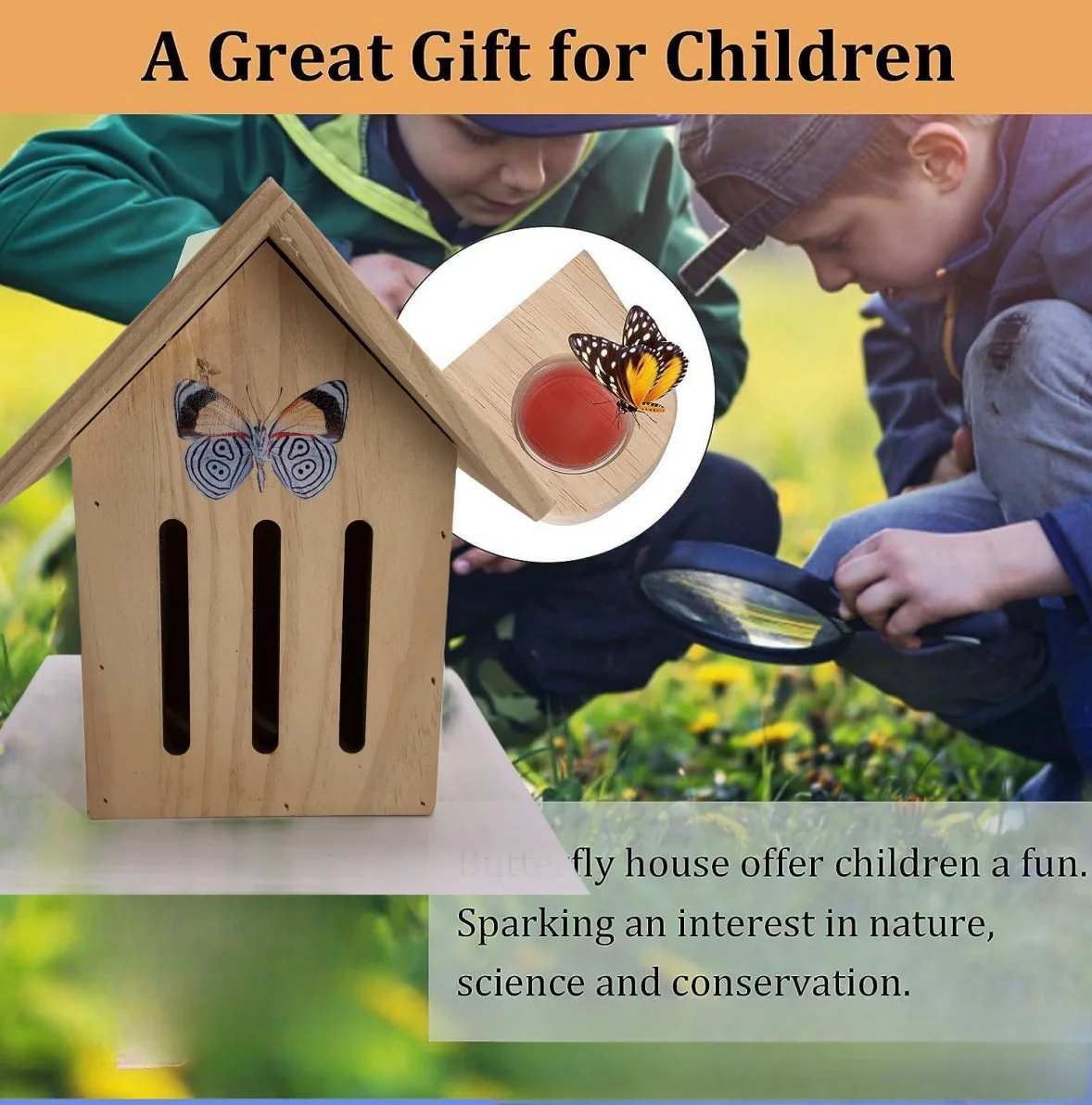 Customized Small Wooden Bird Cage Solid Sustainable PNP Bird Habitat Nest Natural Master Carton Animal Butterfly House Garden