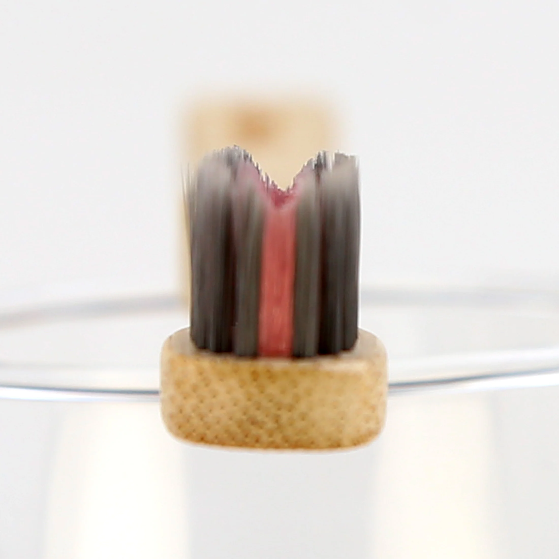 paste-pic-dp_uuid_f3wsy