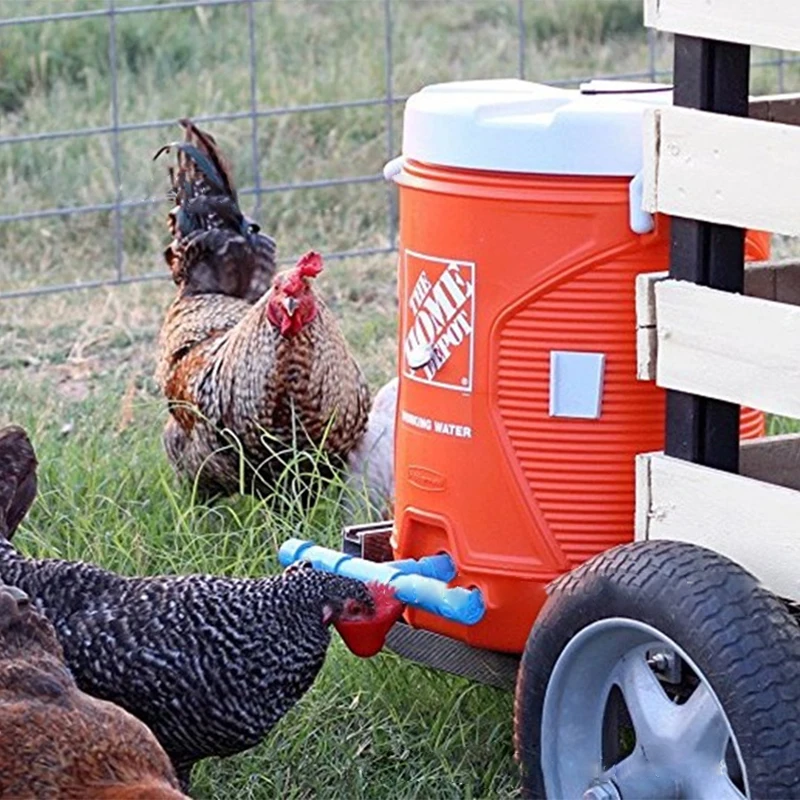 Poultry Coop Automatic Chicken Drinking Fountain Water Bowls Bird Pigeon Drinking Cups Parrot Quail Chicken Fowl Drinking Bowl