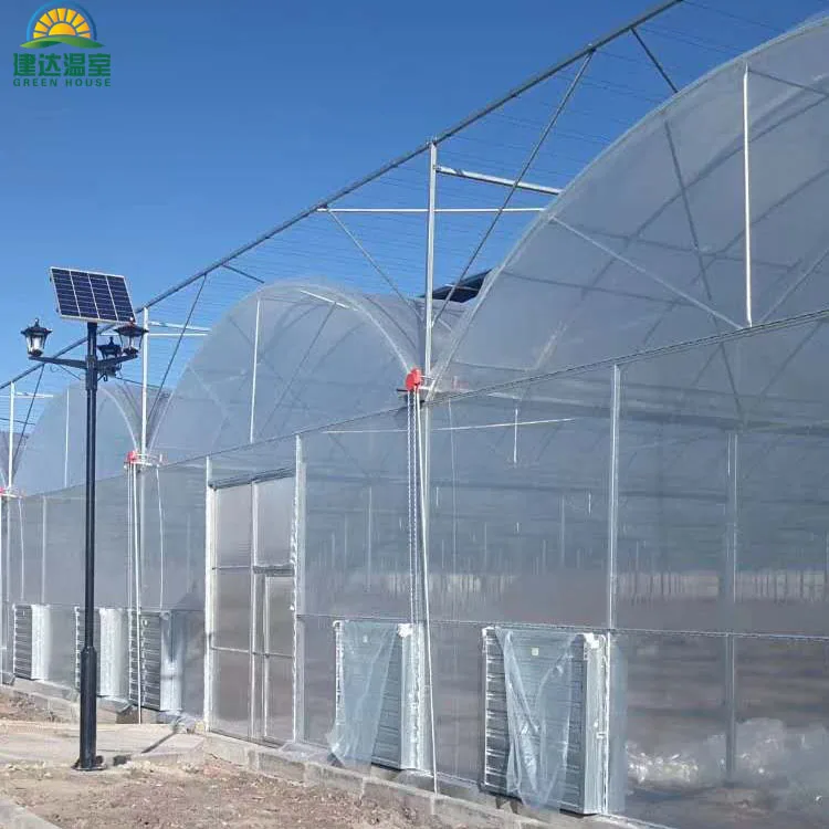Greenhouse For  Multi-span Greenhouses