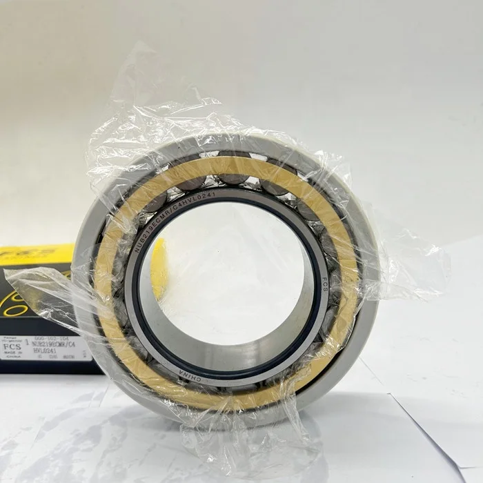 Railway Insocoat Cylindrical Roller Railway Bearing NUB 219 ECMR/C4HVL0241 for traction motor