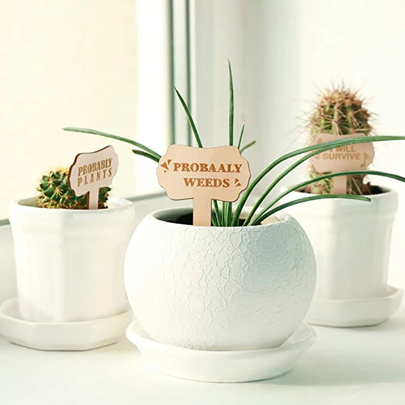 Wholesale Labels Inserted In The Soil Custom Plant Potted Wooden Labels Custom Bookmark