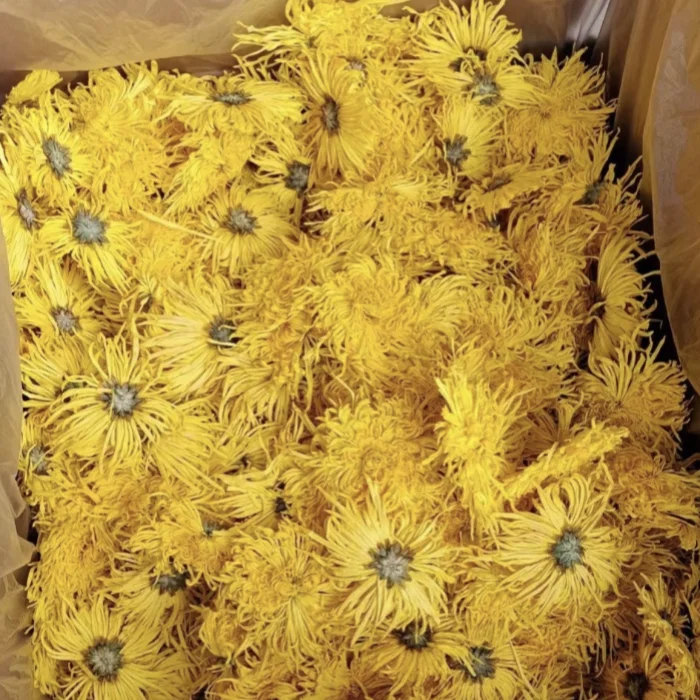 Chrysanthemum tea best selling products 2024 weight loss   Craft flower tea  detoxification Mingmu Tea