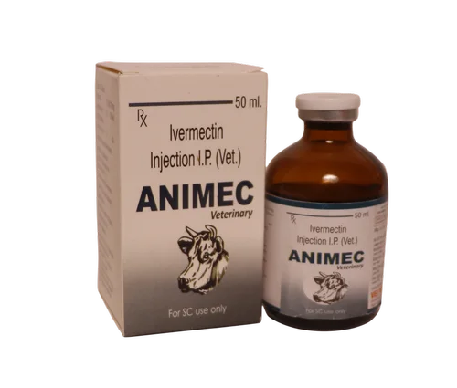 Automatic Egg Roll Carton Box Ampoule Pouch Blister Packing And Cartoning Machine