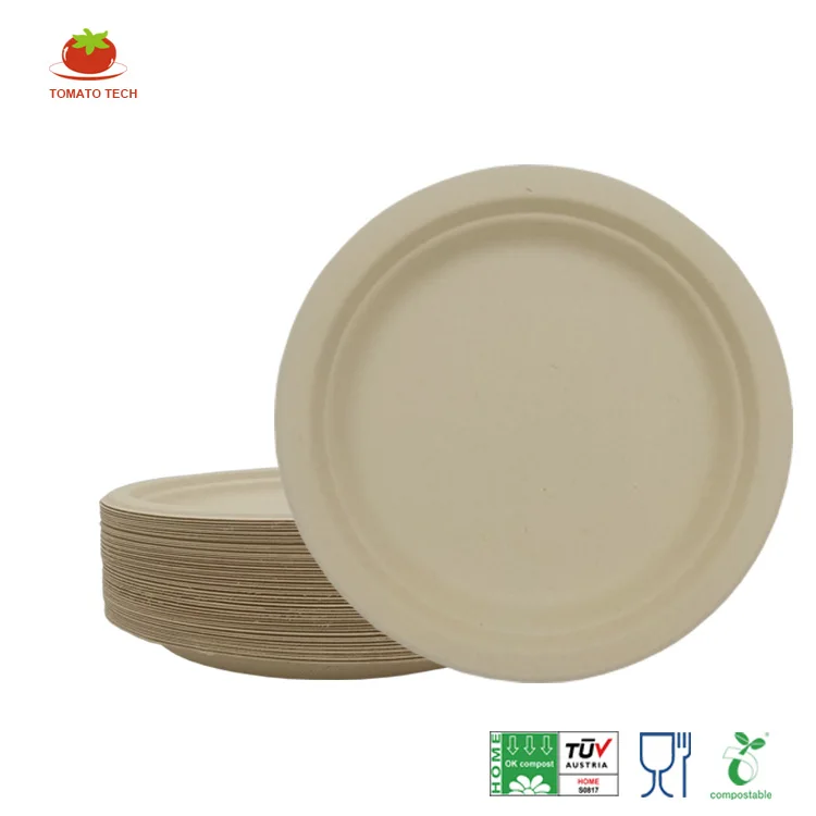 Eco friendly compostable disposable  restaurant bamboo 9 inch dinner paper plate