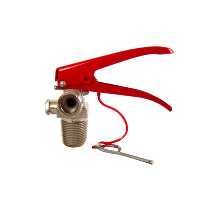 TaiLong 2022 Manufacturer Aluminum Dry Powder Fire Extinguisher Schrader Head Valve
