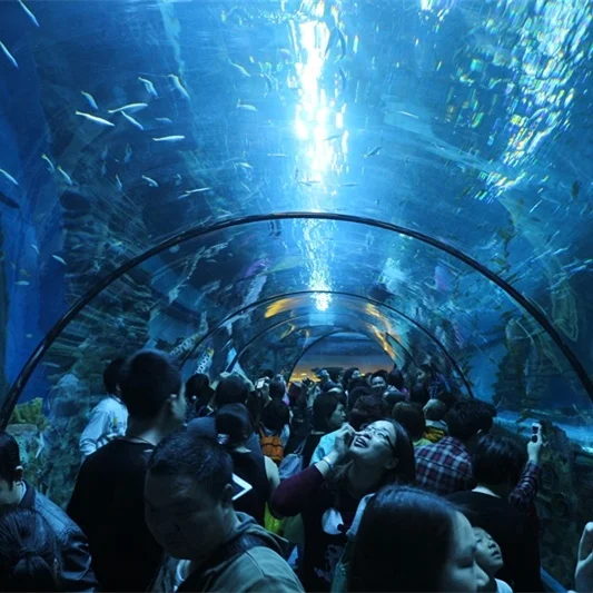 Заводская Продажа индивидуальный акриловый аквариумный туннель для аквариума