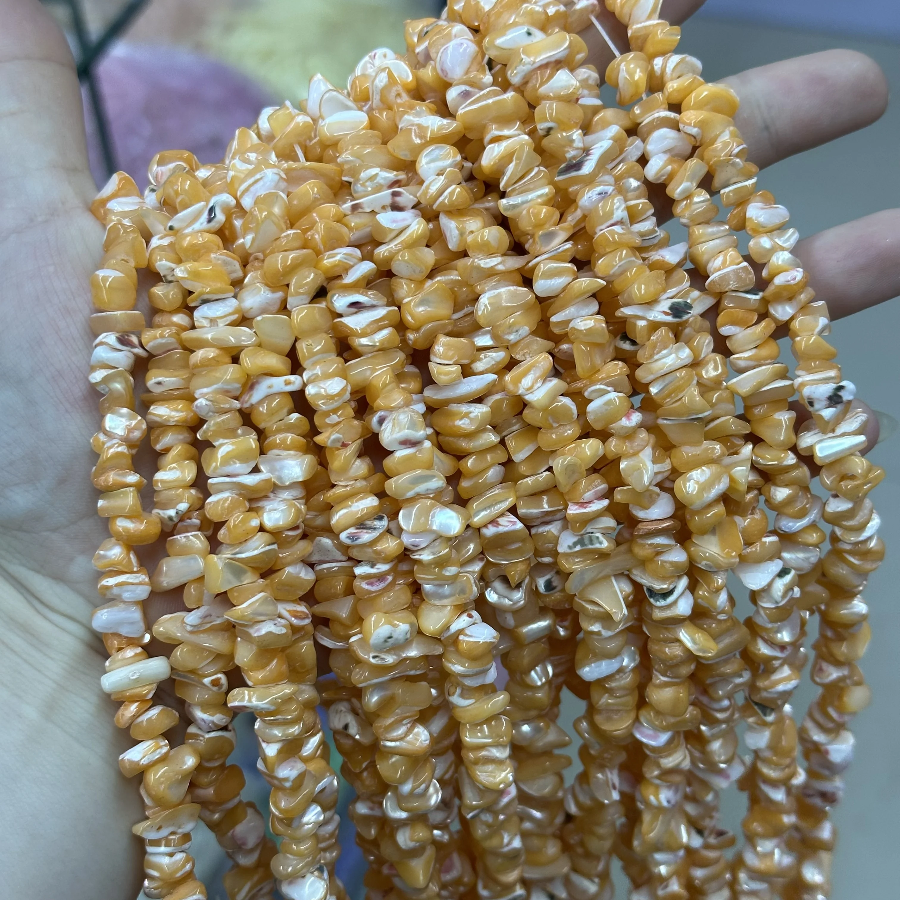 New flat stone horseshoe snail 7-8mm shell bead hairpin earrings semi-finished loose beads bracelet necklace jewelry wholesale