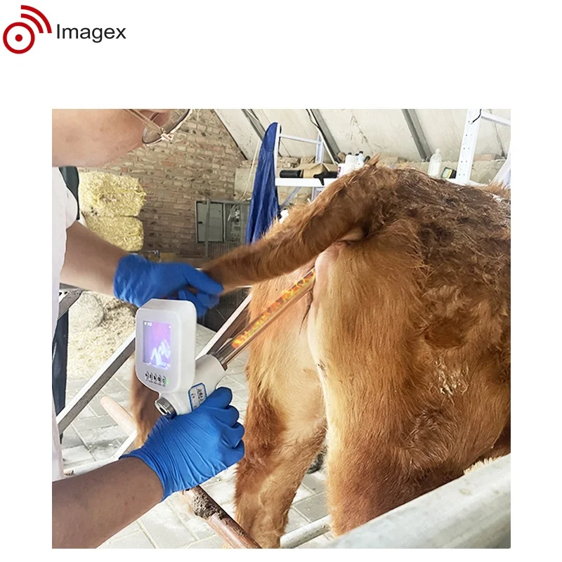 Veterinary Insemination Gun with Camera for Livestock Cattle and Horses