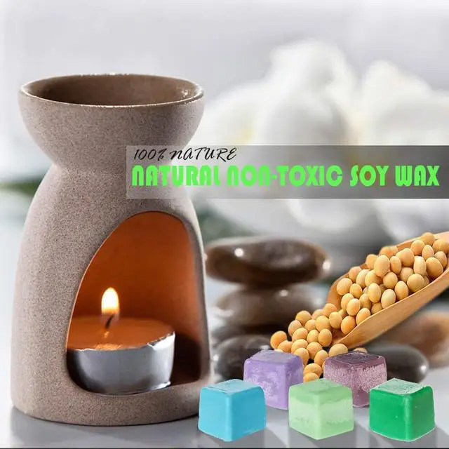 Hot Sell Wholesale Colorful Clamshell Aroma Scented Soy Wax Cube Melts