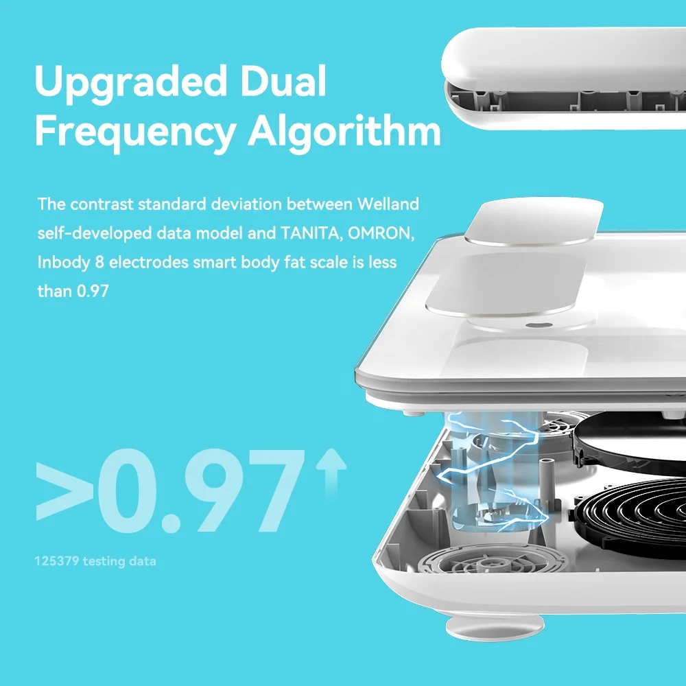 High Quality Weight Scales Measuring Machine Calorie Home Bathroom Smart Scale Digital Manufacturer
