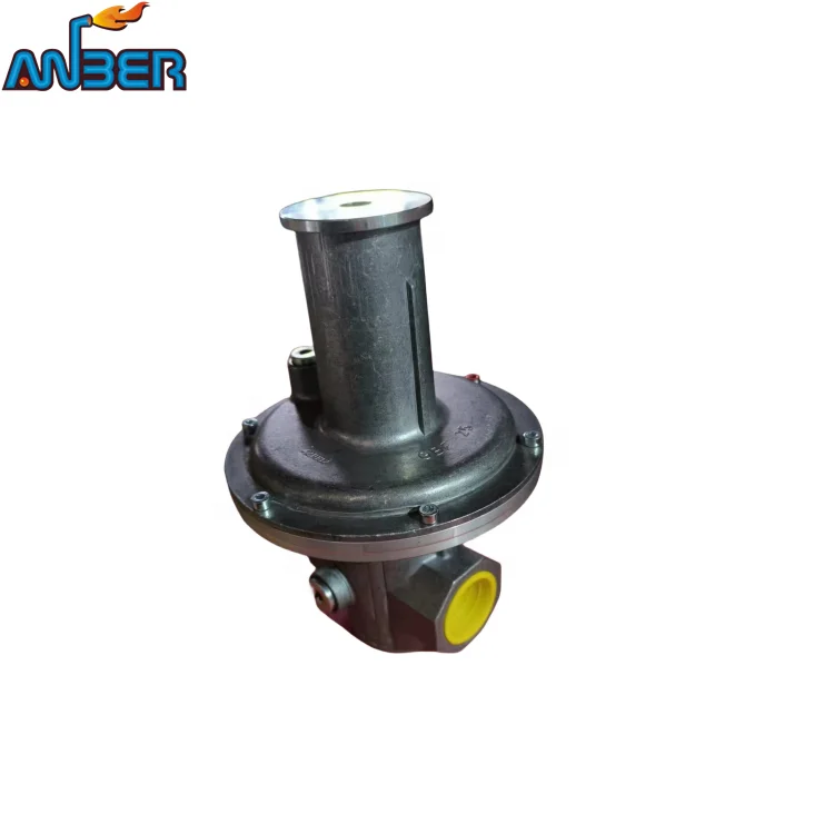 2024 KromSchroder 304 stainless steel  German valve