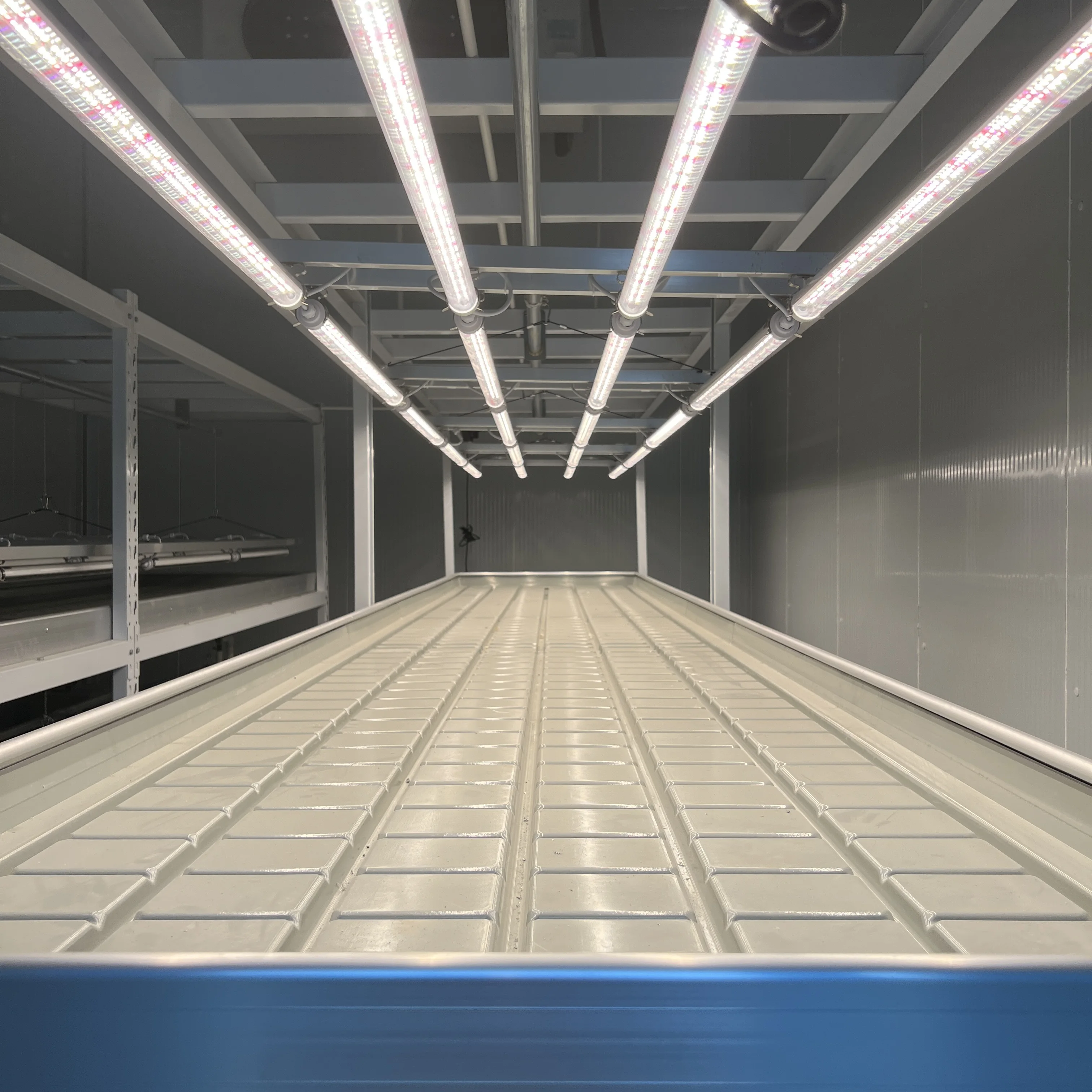Multi-Span Light Deprivation System Light Trap Blackout Greenhouse For Sale