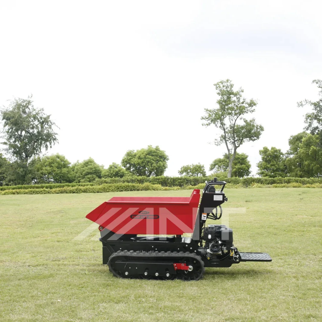 ANT Mini Crawler Dumper Agriculture Mini Dumper Truck Front End Loader BY800S