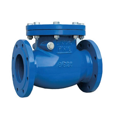 Cast iron Ductile Iron Soft Seal swing check valve pn16