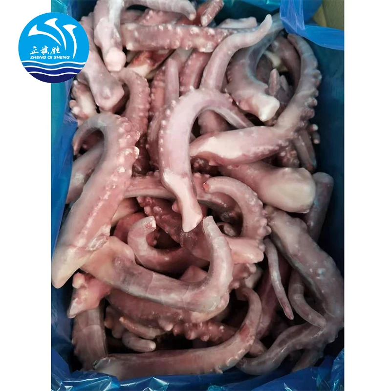 High quality frozen giant squid tentacle