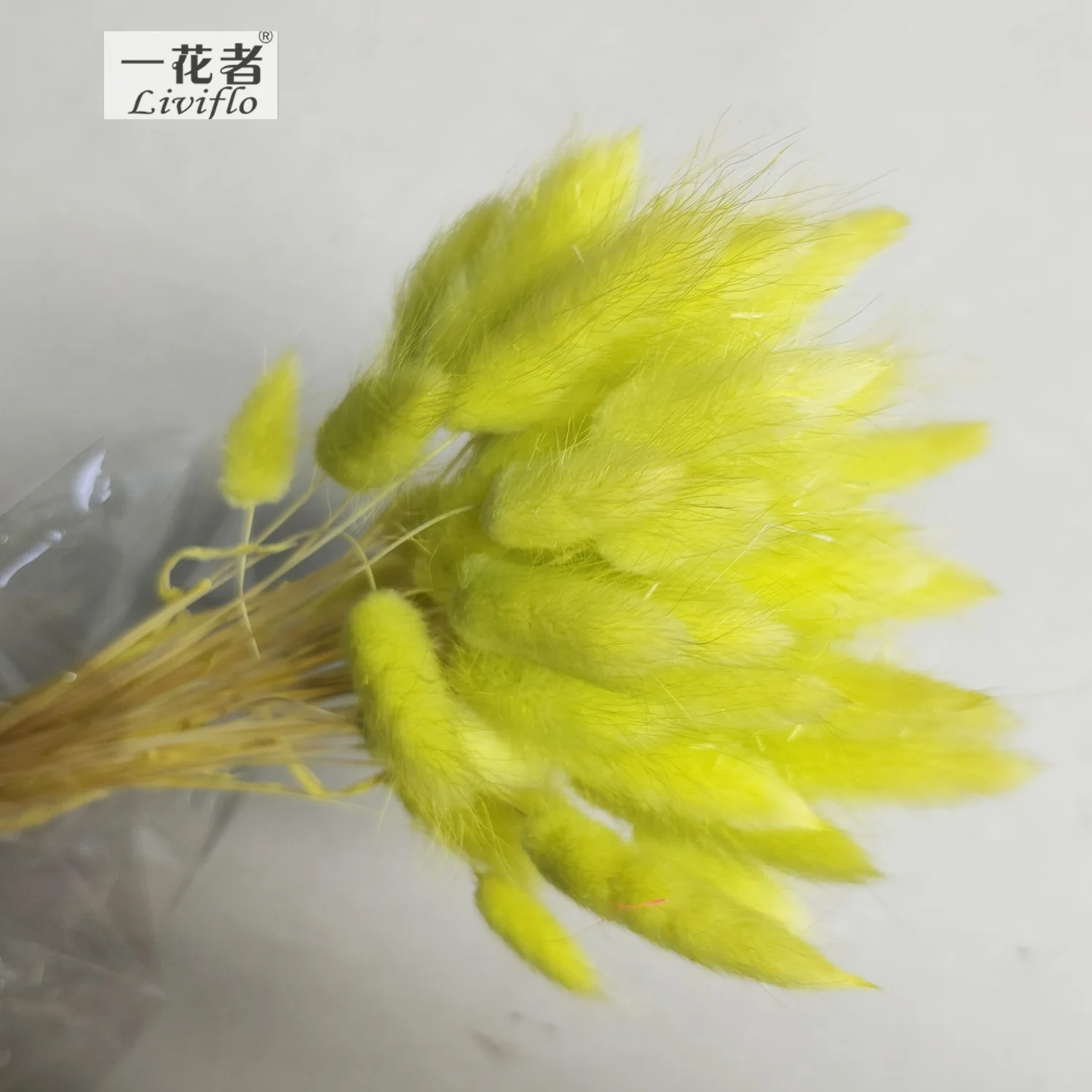 Material Dried Flowers Rabbit Tail Grass Bouquets Opp Bag Christmas Decorative Flowers & Wreaths Long Lasting 50 Sticks / Bunch