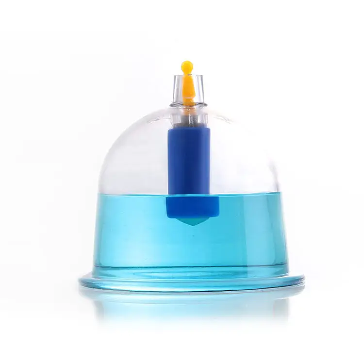 Chinese Medical Safety Vacuum Cupping Set with Box Includes Therapy Body Cupping Cups and Vacuum Cans for Back Treatment