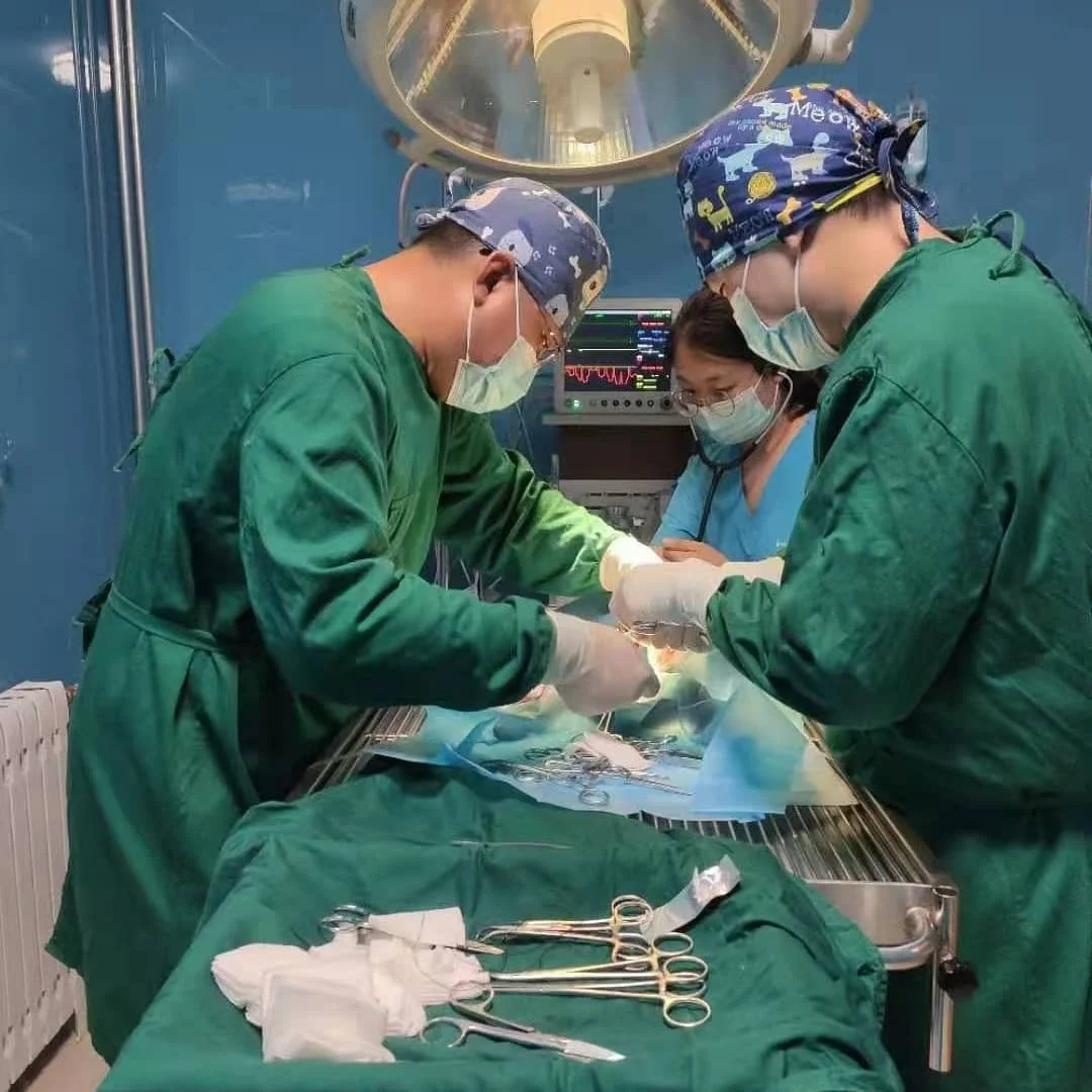 Safety Pop-Off Occlusion Valve Adopted Medical Veterinary Anesthesia Machine