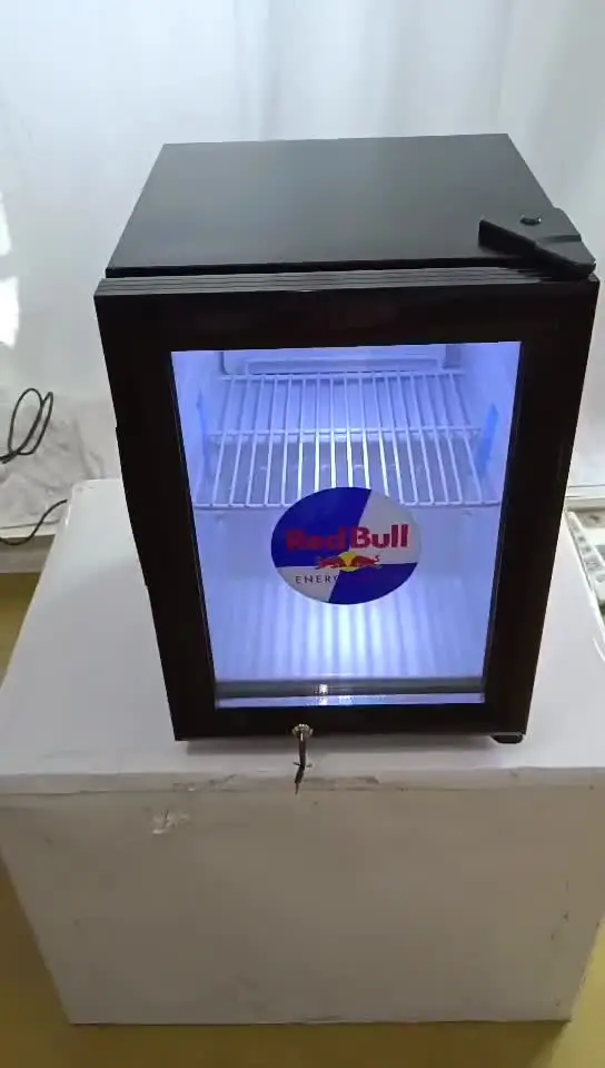 2024 New Compact Mini Fridge 21 Liter Best Gas Refrigerator With Key Lock Glass Door Small Refrigerator