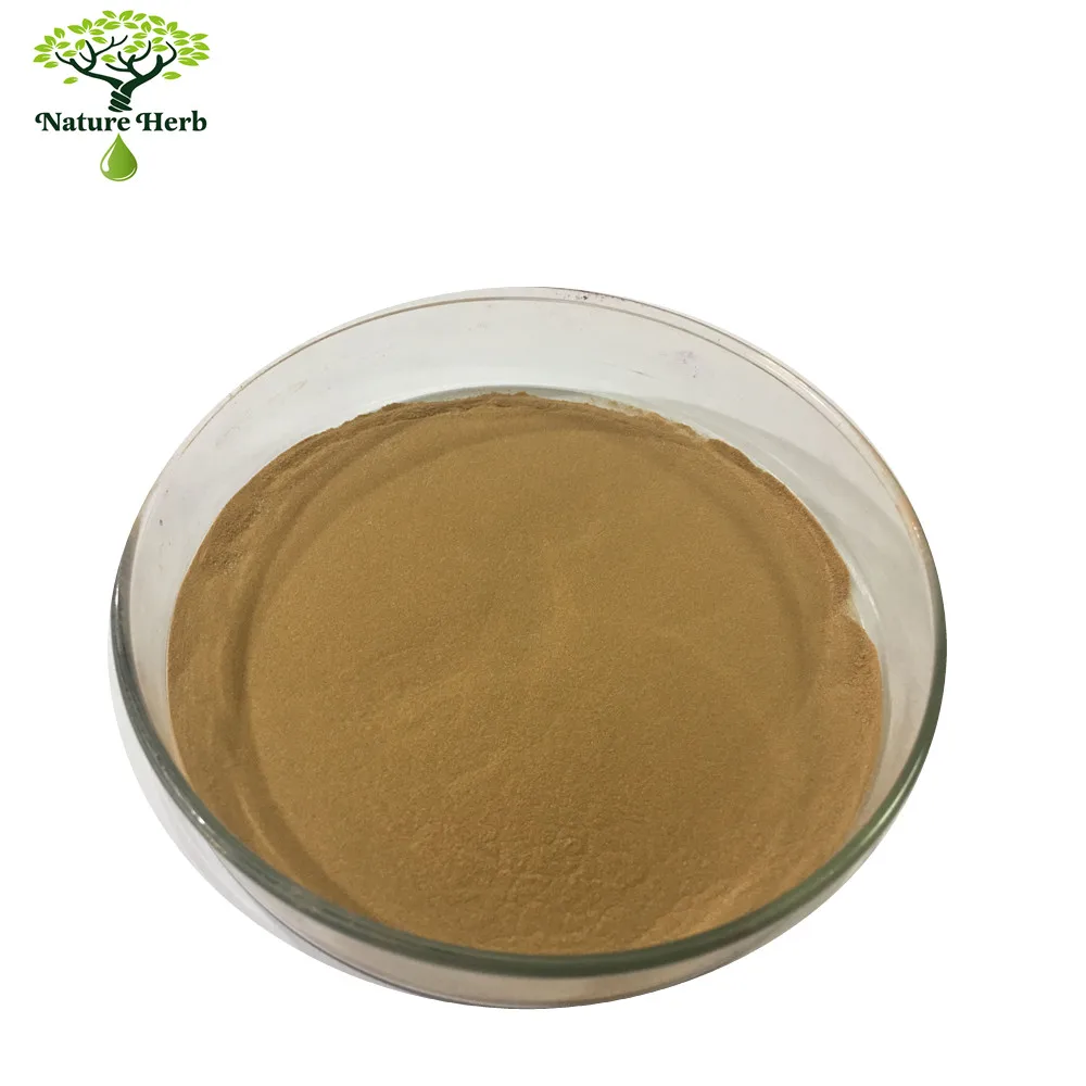 Gentian Root Extract 4:1 powder