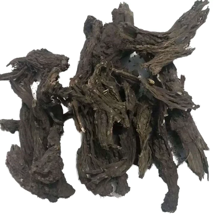 aconitum sinomontanum Roots  Chinese Herb Plants  Gaowutou Roots