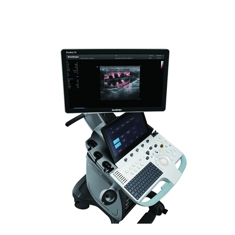 Sonoscape ProPet 70 wholesale price vet ultrasound machine 3D 4D color doppler Digital ultrasound scanner for veterinary