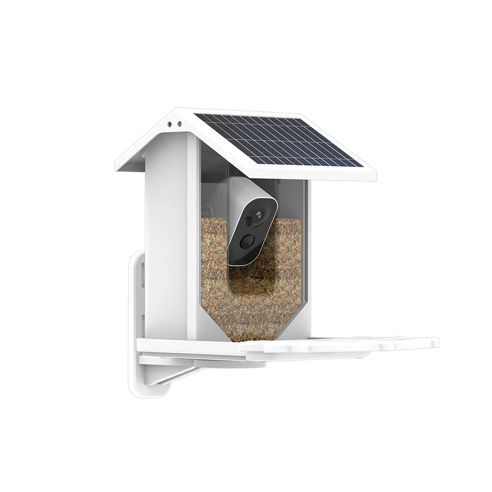 Outdoor wildlife monitoring camera bird remote viewing AI bird feeder captures pictures photos videos garden smart bird feeder