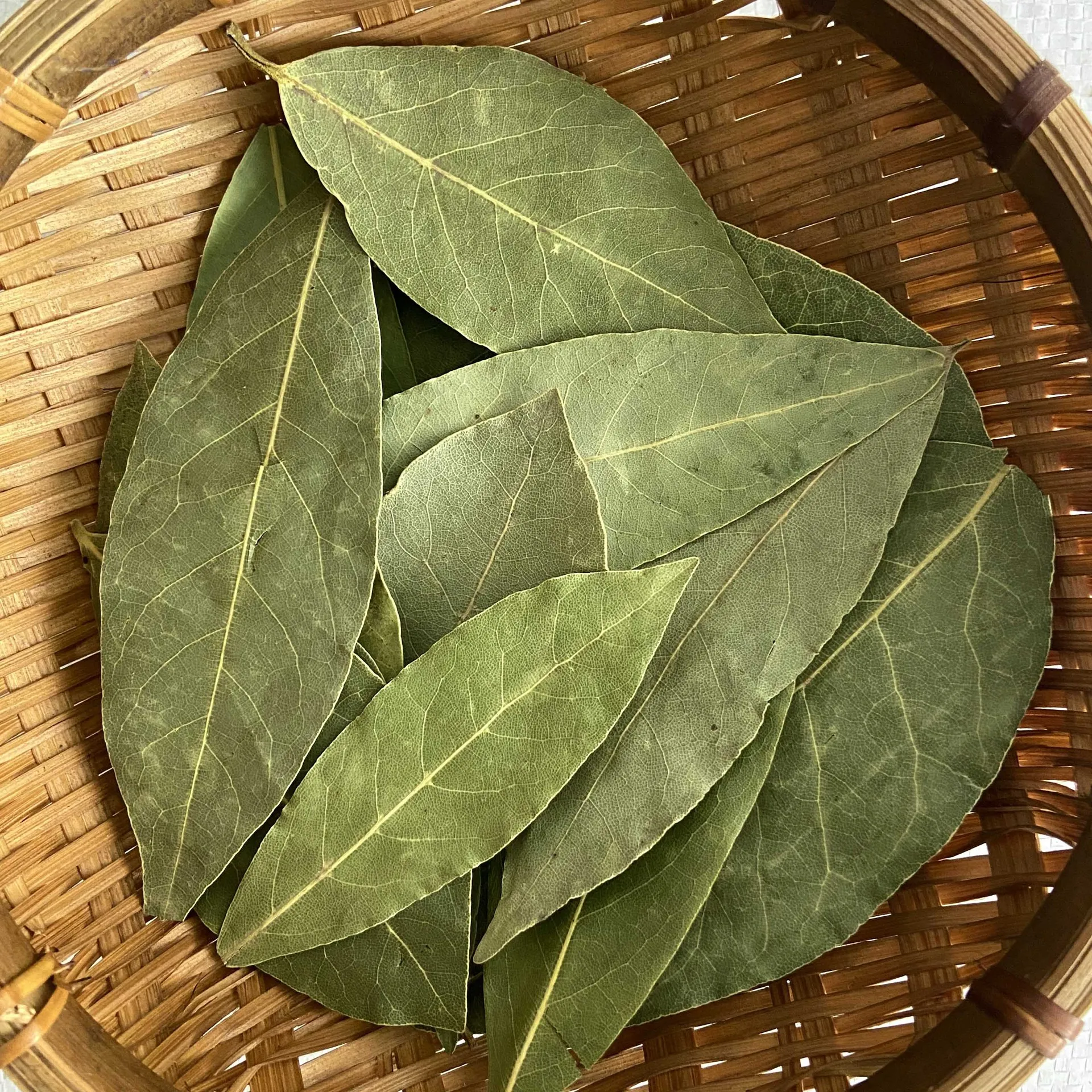 Top quality cook spice and Wholesale product   laurel leaves