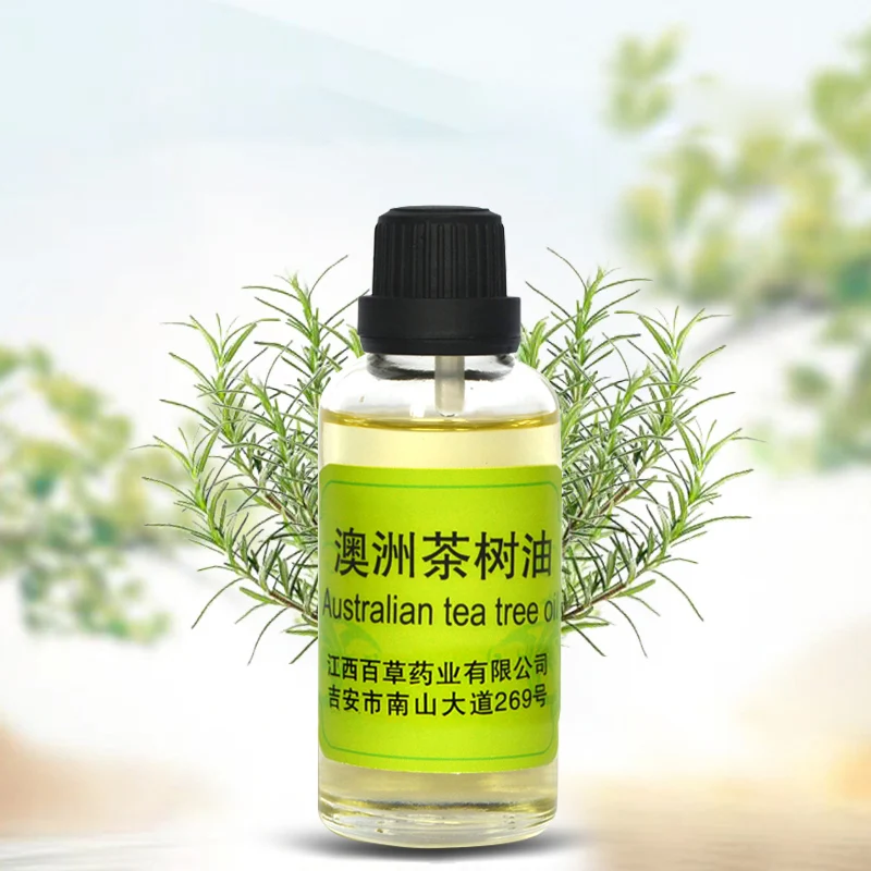 shampoo Daily Flavor Food Flavor diffuser oil tea tree oil Cajeput Melaleuca Oil