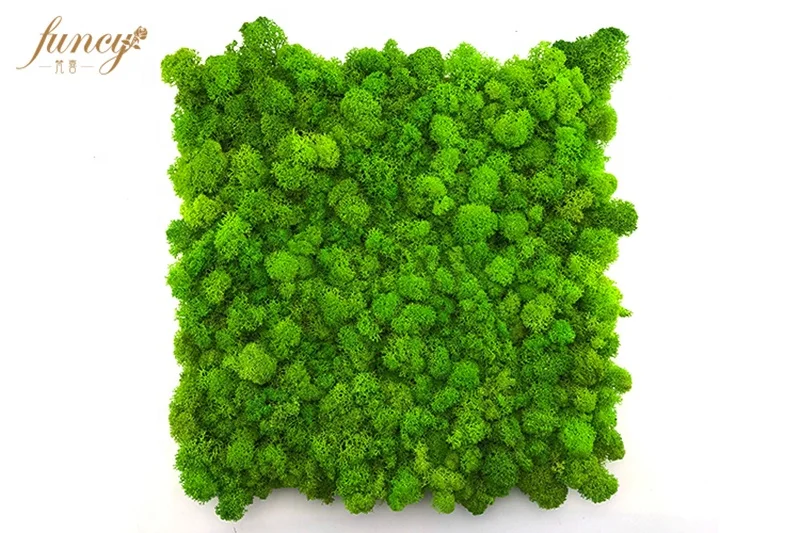 2019 The Most Popular Room Decoration Reindeer Preserved Moss Panel