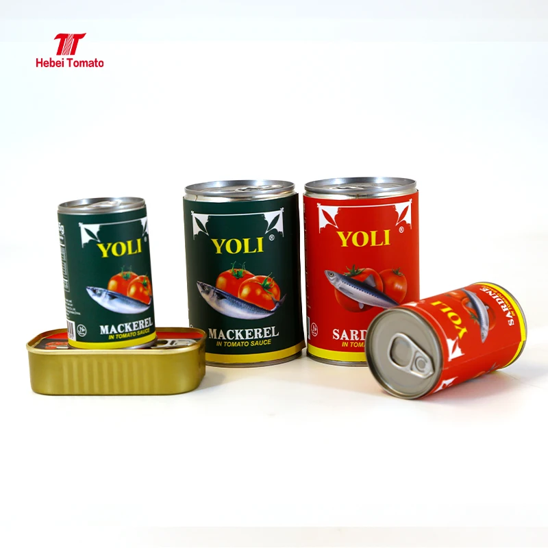 Halal canned sardines fish in tomato sauce / canned mackerel fish in tomato paste
