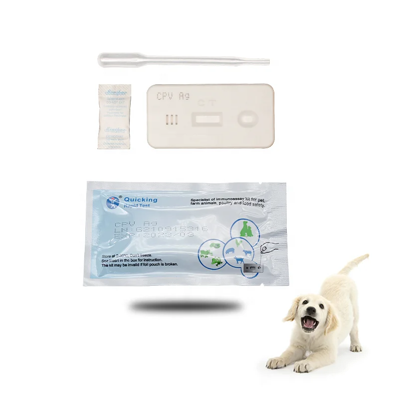 veterinary hospital Diagnostic dog disease test canine parvovirus CPV ag antigen rapid test kit