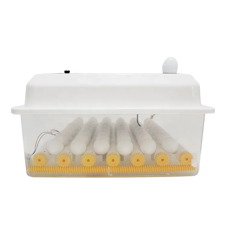 Household 12&220V plastic small size 6 zambia egg incubator with turer motor